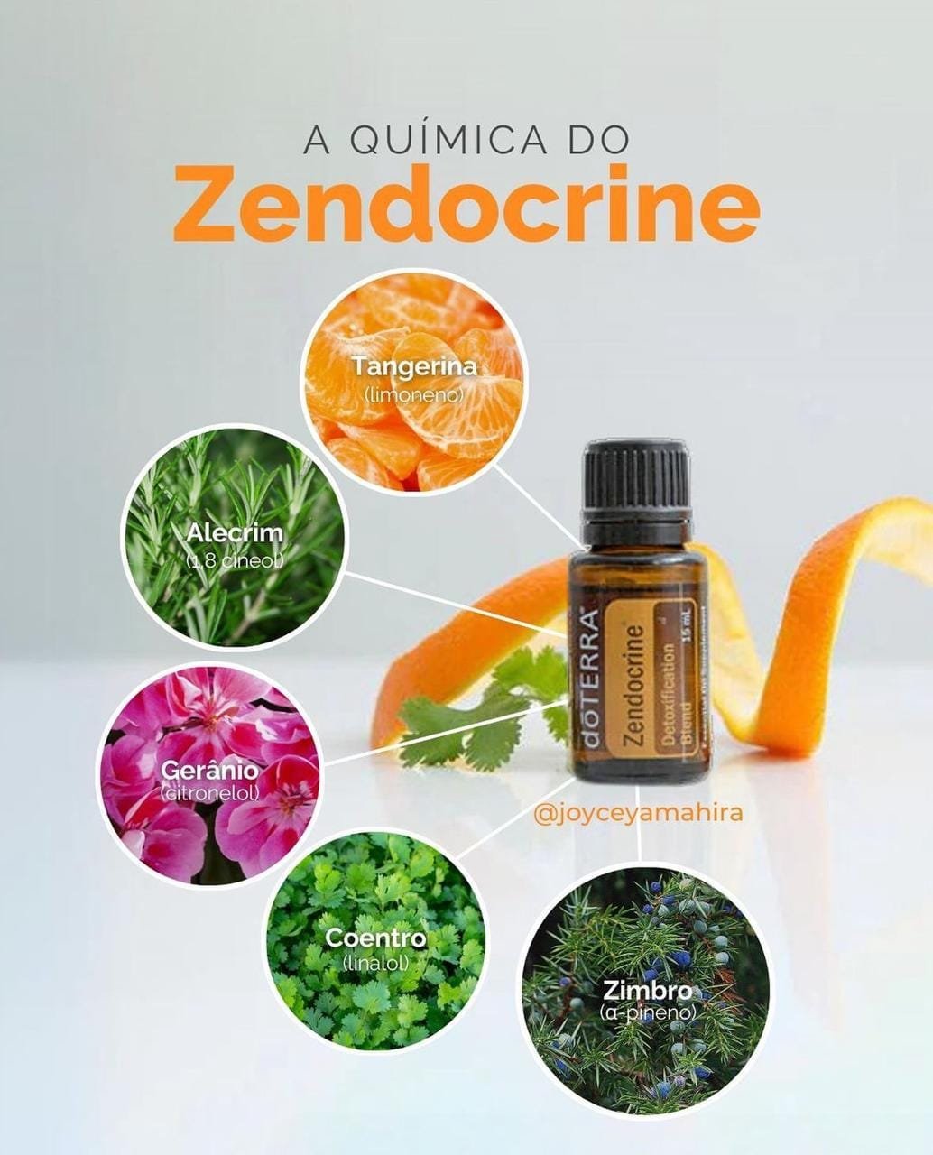 GORDURA NO FÍGADO???? CONHEÇA ESTE ÓLEO ESSENCIAL